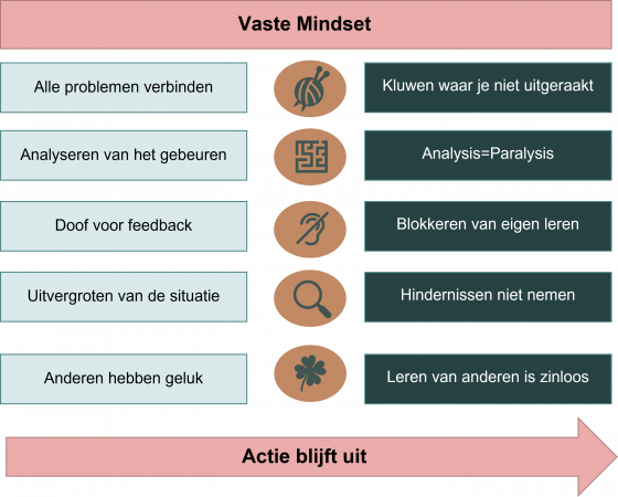 signalen en gevolgen van een vaste mindset