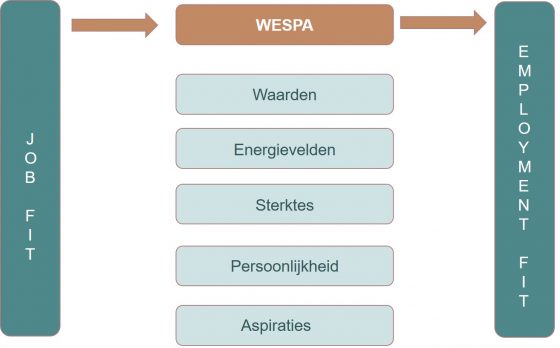 Eelementen van een loopbaangesprek